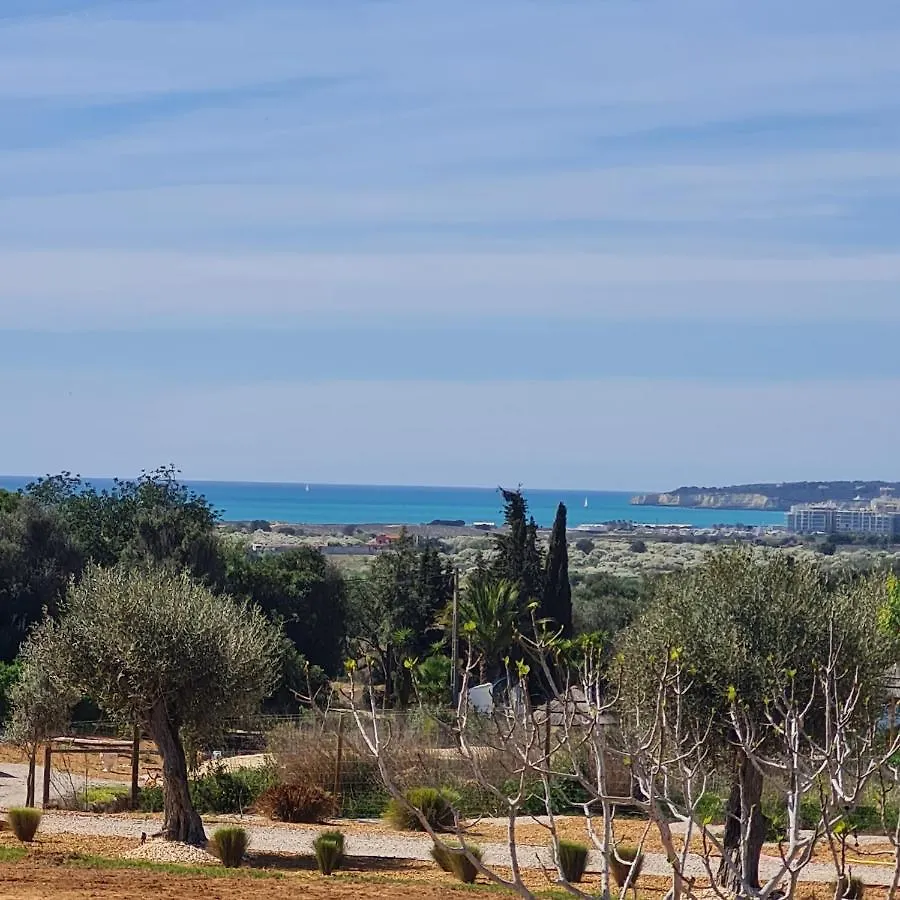 Monte Da Saudade Bed & Breakfast Sesmarias